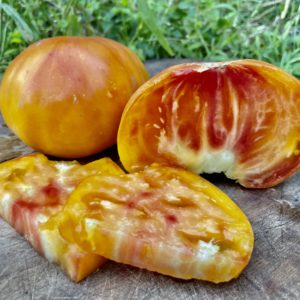 Tomate Allemande dorée