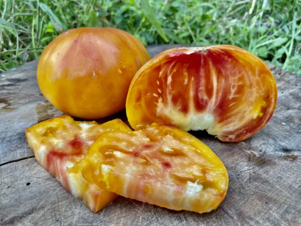 Tomate Allemande dorée