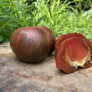 Tomate belle du college