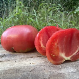 Tomate kim's civil war
