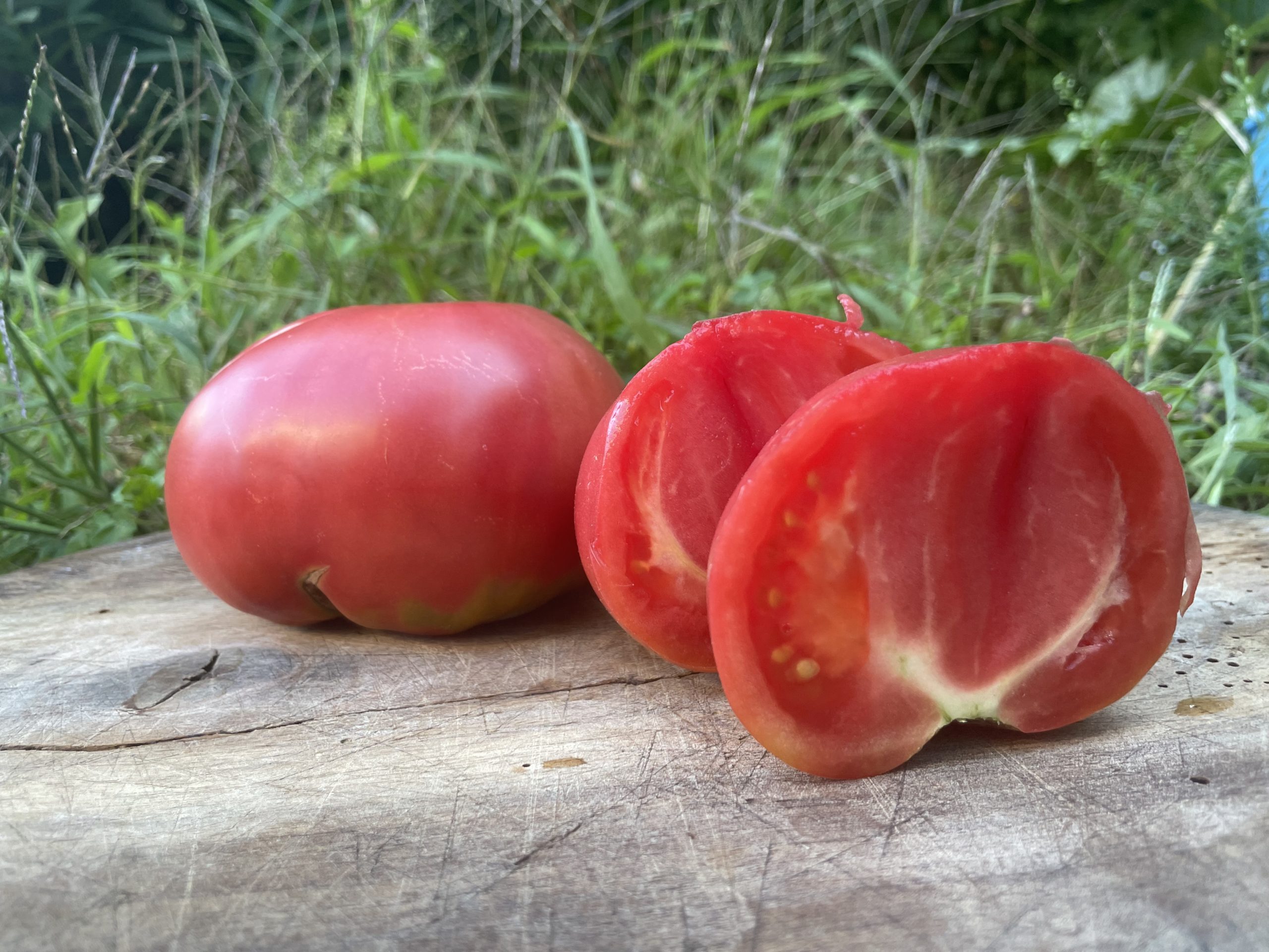 Tomate kim's civil war