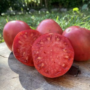 Tomate kim's civil war