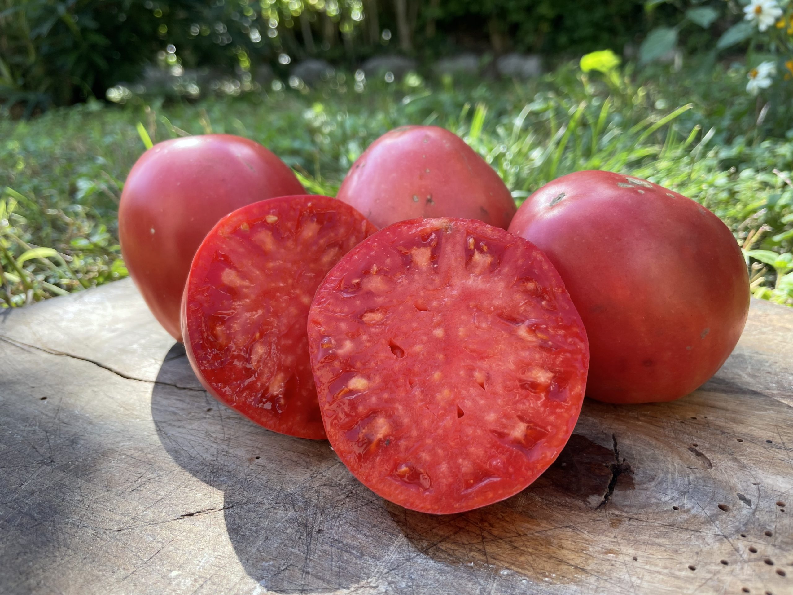 Tomate kim's civil war