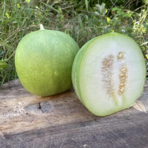 Concombre Carosello Barattiere