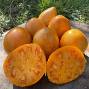 Tomate Cœur de Bœuf Orange