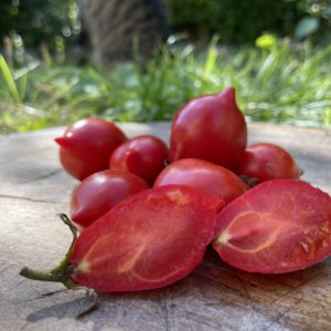 Tomate du Vésuve
